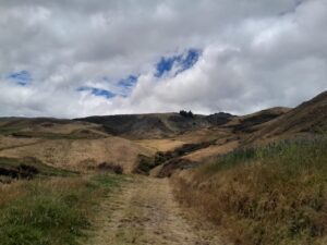 whatsapp image 2025 08 22 at 20.01.45 (1)