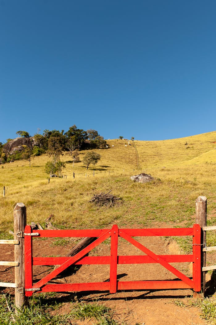 Vibrant landscape featuring a red gate leading to vast fields against a clear sky.