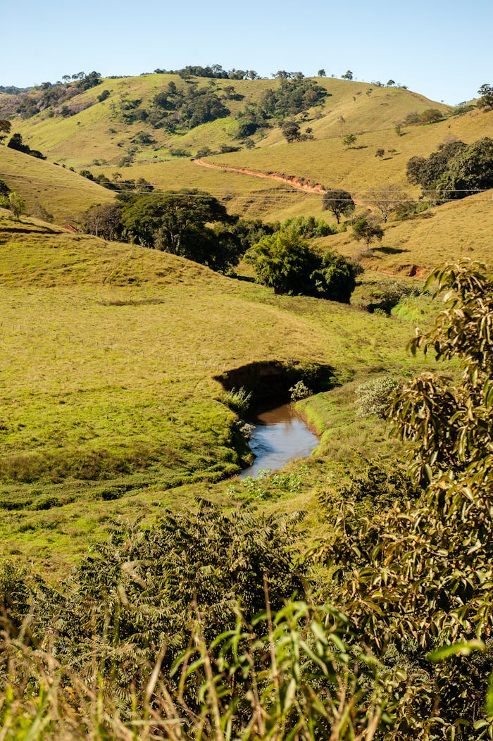 Beautiful rural landscape featuring verdant hills, a winding stream, and lush greenery under a clear blue sky.