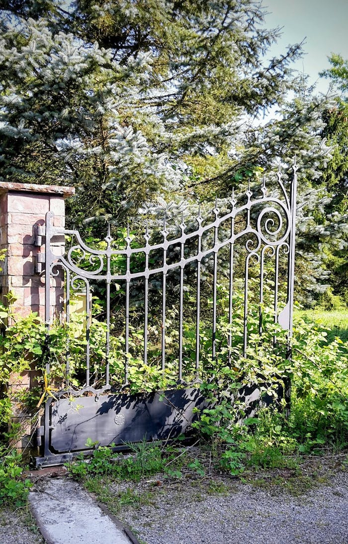 fitness-service-01 A detailed view of an ornate wrought iron gate surrounded by lush greenery.